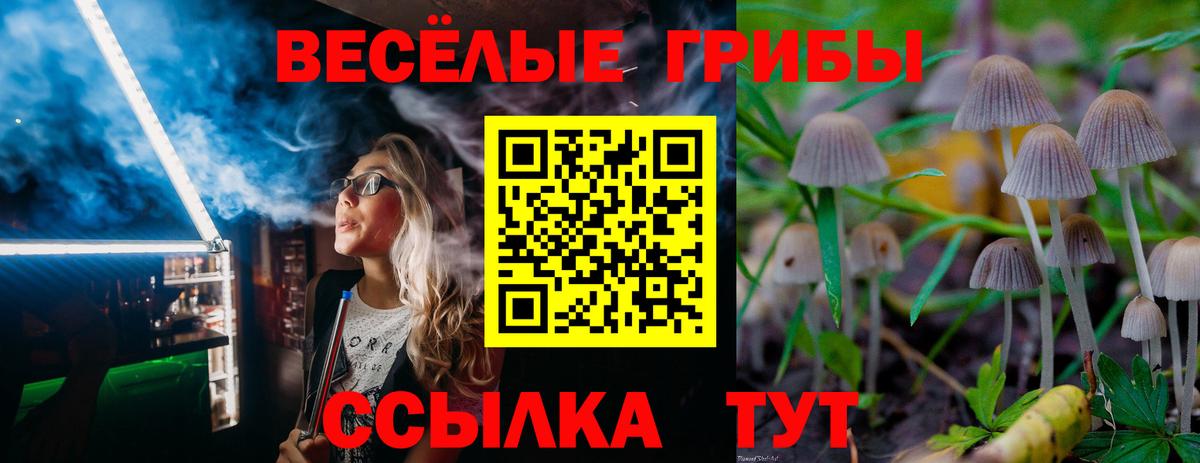 Псилоцибиновые грибы мицелий Сургут